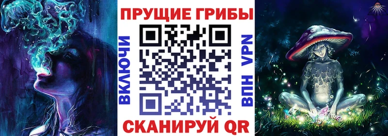 Галлюциногенные грибы ЛСД Рошаль