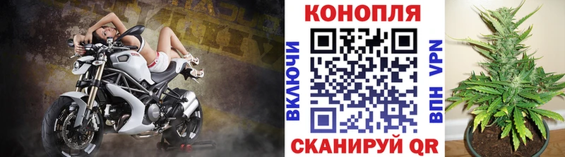 Шишки марихуана Amnesia Рошаль